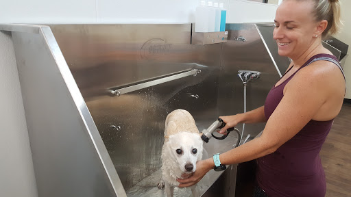 Pet Groomer «U Dirty Dog», reviews and photos, 232 Stevens Entry, Peachtree City, GA 30269, USA