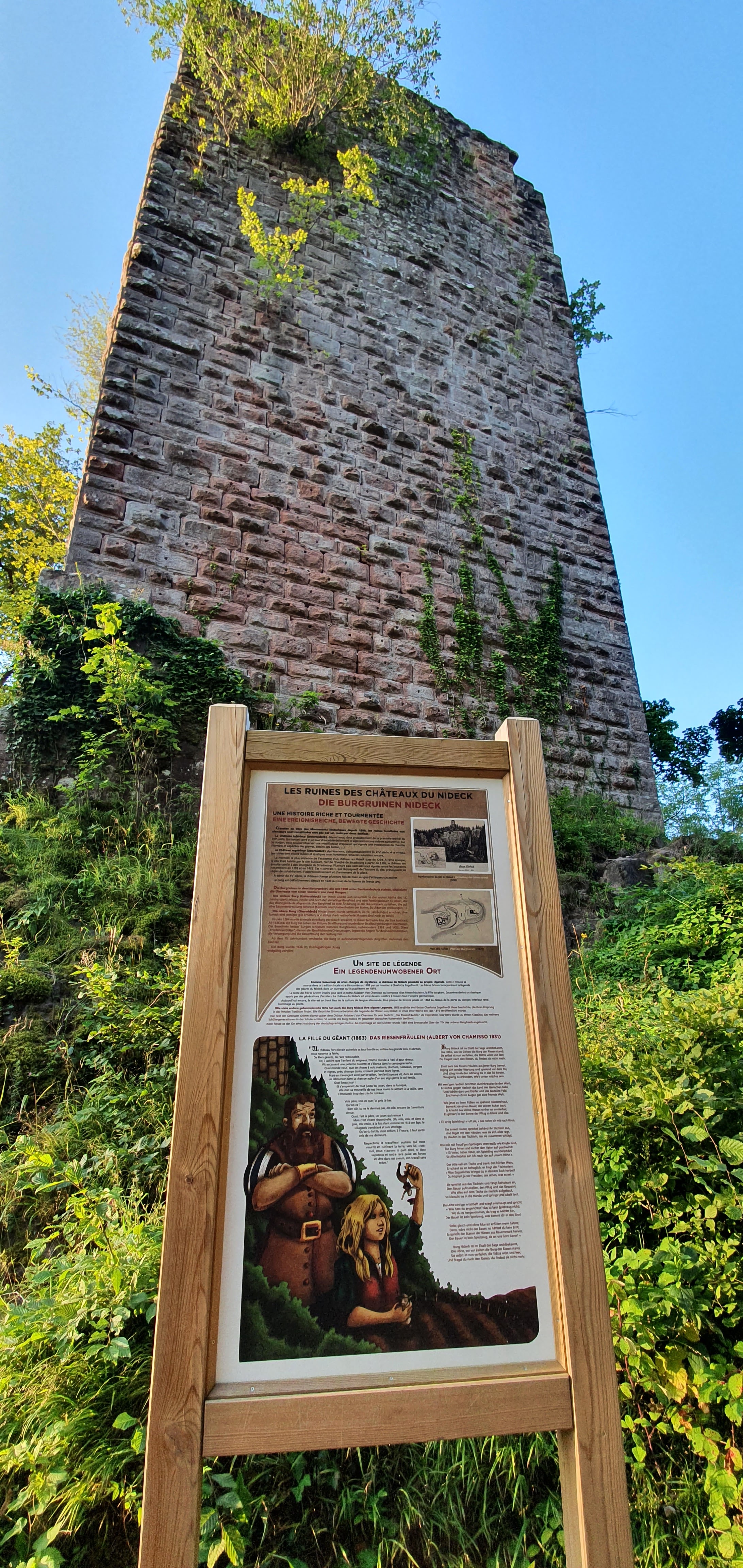 Photo n° 1 de l'avis de Dominique.E fait le 15/08/2021 à 17:56