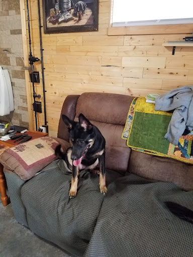 Pet Supply Store «Pet Supplies Plus», reviews and photos, 1268 N Eisenhower Dr, Beckley, WV 25801, USA