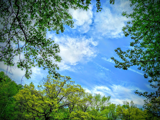 Park «Tibbetts Brook Park», reviews and photos, 355 Midland Ave, Yonkers, NY 10704, USA