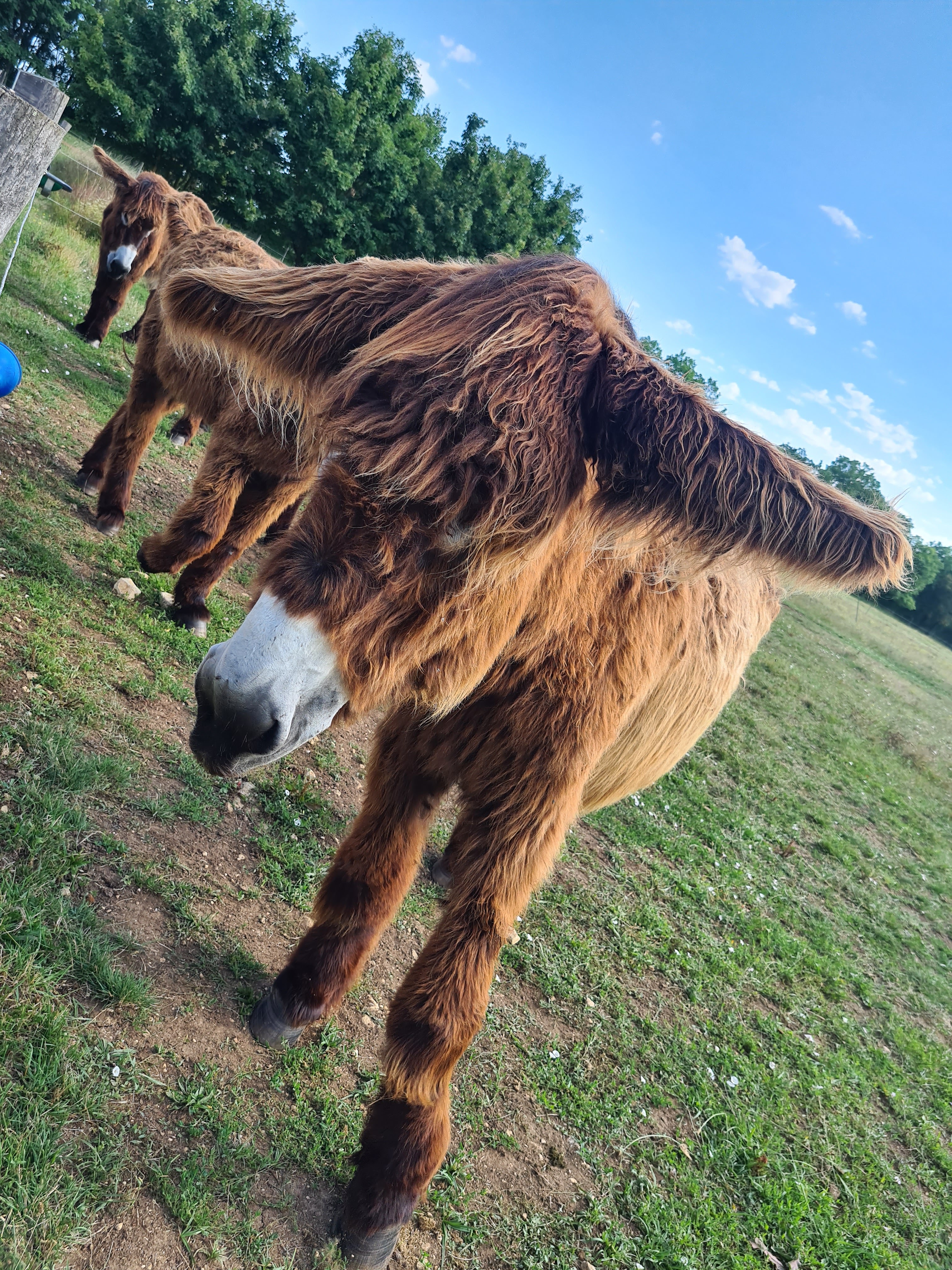 Photo n° 8 de l'avis de Sam.a fait le 08/07/2023 à 20:46