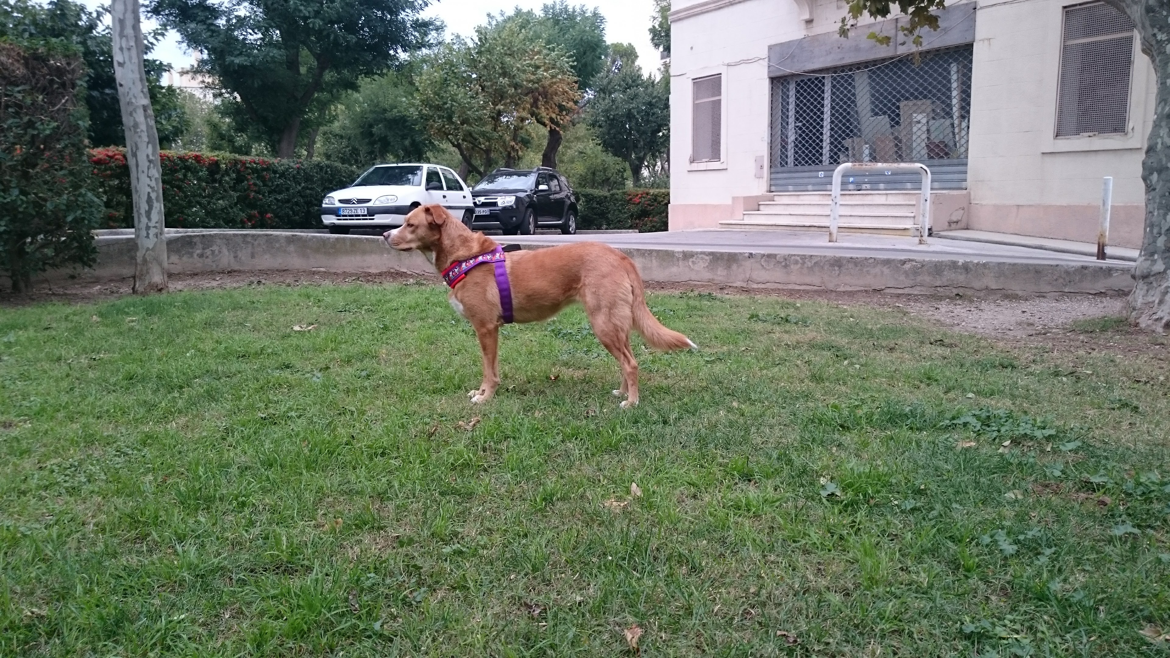 Photo n° 1 de l'avis de Emeline.a fait le 29/03/2017 à 14:28