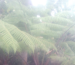 Desa Adat Pekraman Petiga Marga Tabanan photo
