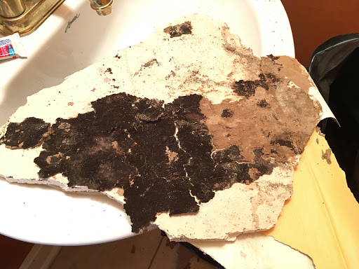 Roofing Contractor «Paul Saunders Roofing Co», reviews and photos, 1803 W Marshall St, Richmond, VA 23220, USA