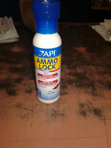 Tropical Fish Store «Petland Discounts - Ridgewood», reviews and photos, 55-52 Myrtle Ave, Queens, NY 11385, USA