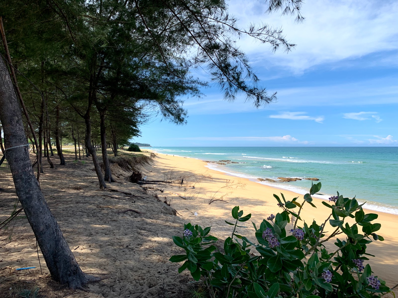 Pantai Teluk Bidara photo #9