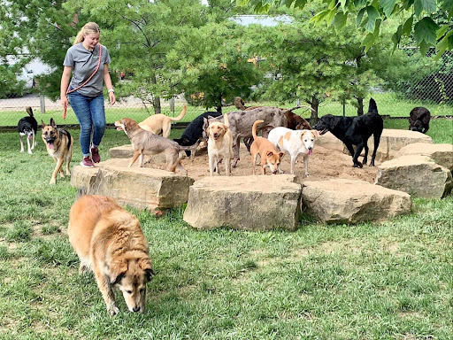 Pet Store «Happy, Clean and Smart», reviews and photos, 5700 W Kilgore Ave, Muncie, IN 47304, USA