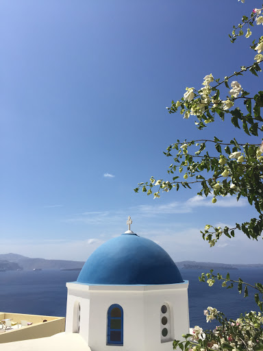 Travel Agency «Magnified Vacations CruiseOne», reviews and photos, 8516 Charleston Ct, Avon, IN 46123, USA