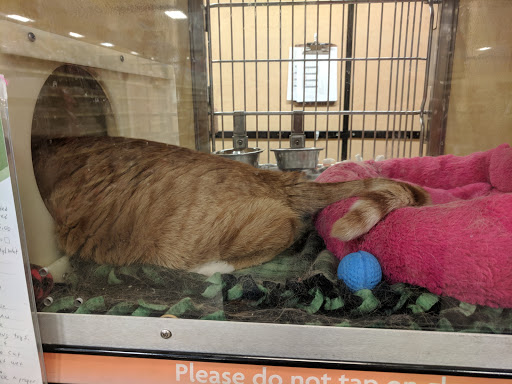 Pet Supply Store «PetSmart», reviews and photos, 5748 S Redwood Rd, Taylorsville, UT 84123, USA