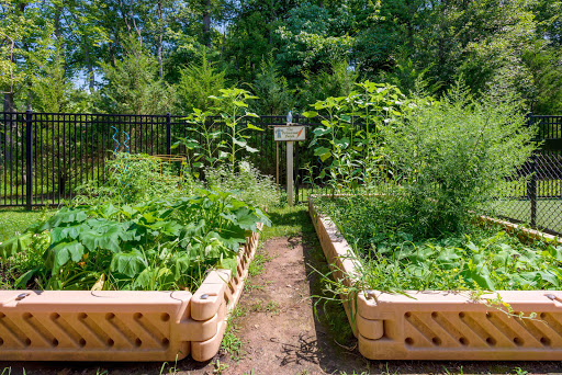 Preschool «Primrose School of Berkeley Heights», reviews and photos, 246 Springfield Ave, Berkeley Heights, NJ 07922, USA