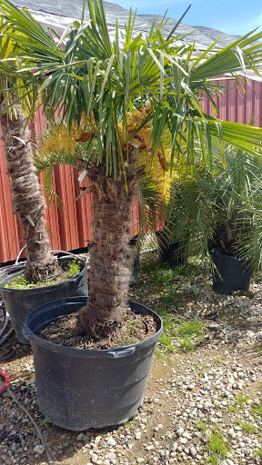 Landscaper «Landscape Source», reviews and photos, 167 Ole W Ln, Rockwall, TX 75087, USA