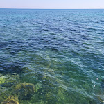 Photo n°5 de l'avis de Mr.i fait le 28/07/2022 à 20:15 sur le  Palm Beach Club - Casteldaccia à Casteldaccia