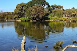 Centennial Park Duck Pond image