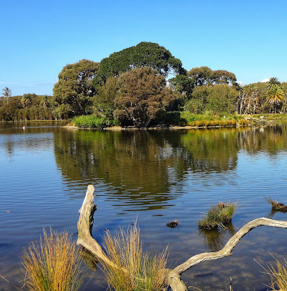 Centennial Park Duck Pond