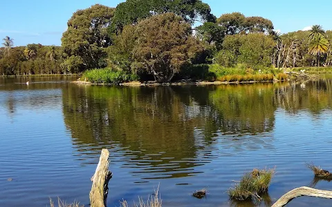 Centennial Park Duck Pond image