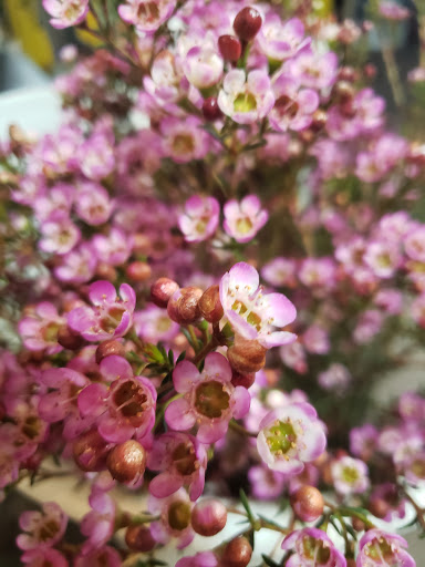 Florist «Treasures Remembered Florist», reviews and photos, 600 W Locust St, Princeton, KY 42445, USA