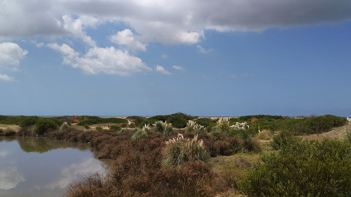 Arroyo Carrasco