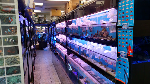 Tropical Fish Store «Aquatic Zoo Tropical Fish», reviews and photos, 2655 Thousand Oaks Blvd, Thousand Oaks, CA 91362, USA