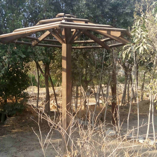 برجولات خشبية Wood Pergolas