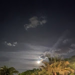 Photo n°3 de l'avis de Dani.i fait le 26/06/2021 à 06:48 sur le  Hotel Carmen à Riccione