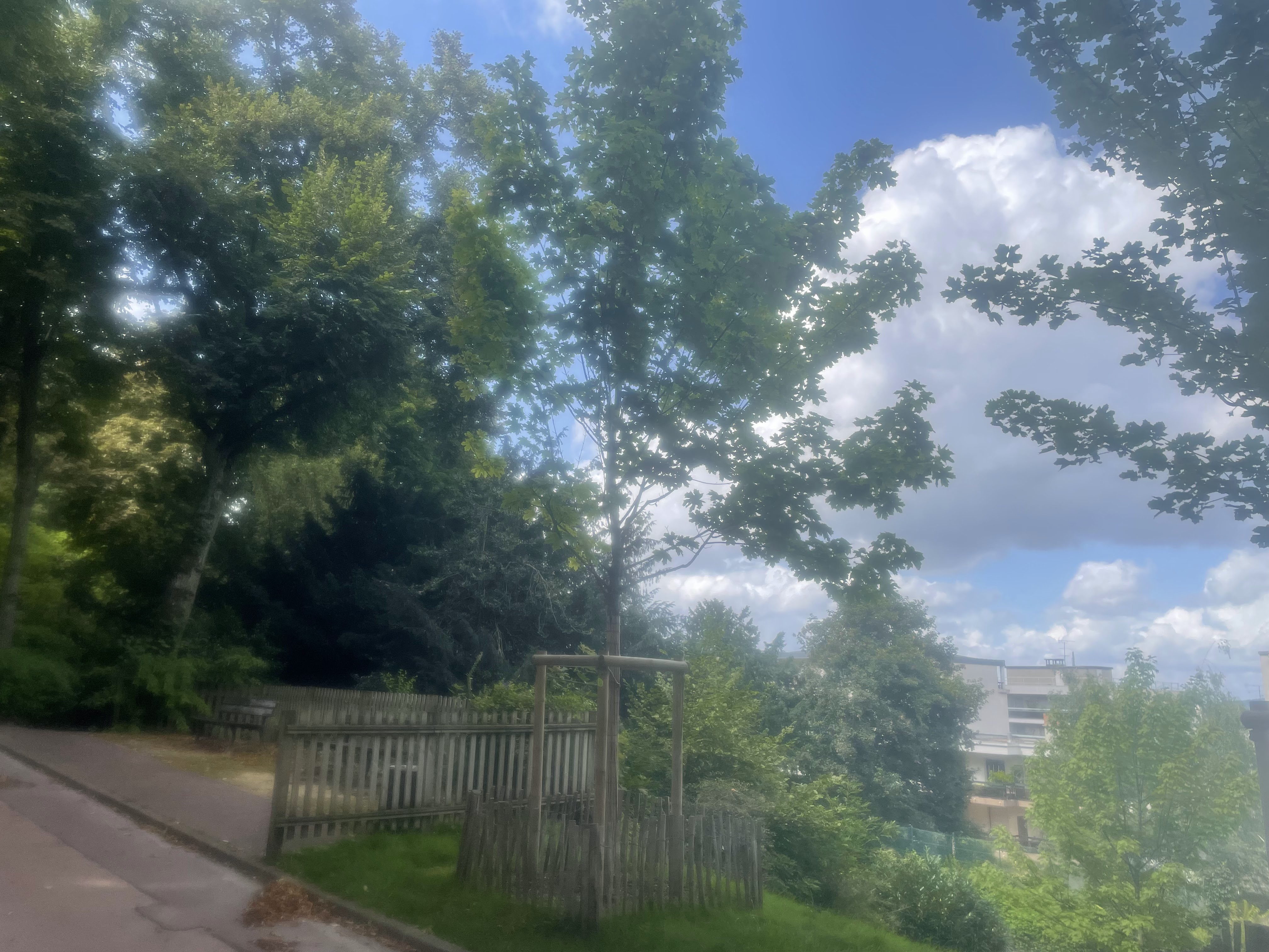 Photo n° 6 de l'avis de Gh.a fait le 15/08/2021 à 21:03