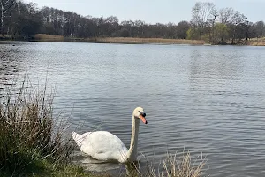 Pen Ponds image