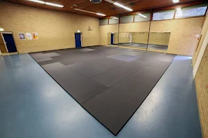 Satsang BJJ Rotterdam - Braziliaanse Jiu Jitsu image