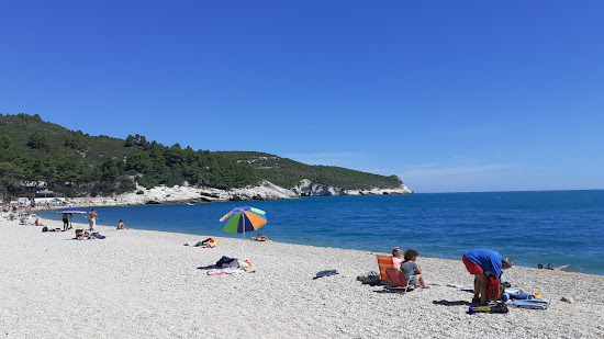 Baia di Campi
