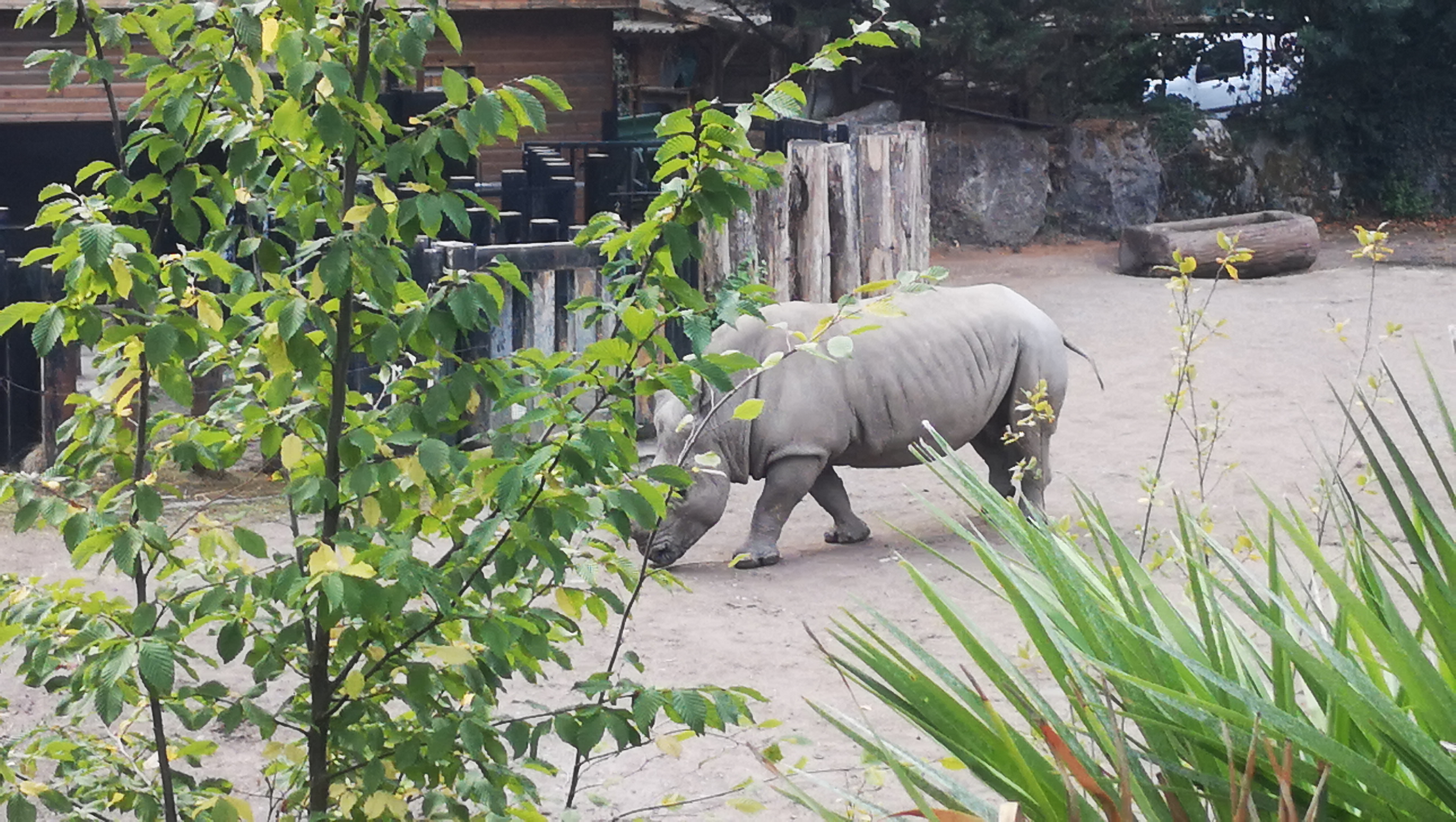 Photo n° 3 de l'avis de leïla.I fait le 20/08/2022 à 17:17