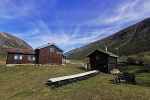 Dovrefjell–Sunndalsfjella National Park image