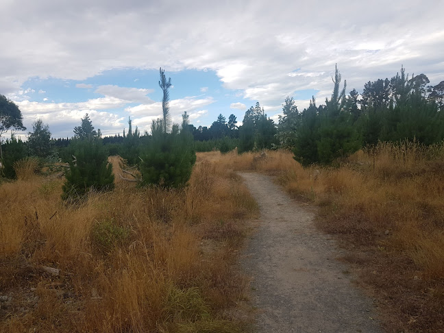 Reviews of McLeans Forest Regional Park in Christchurch - Parking garage
