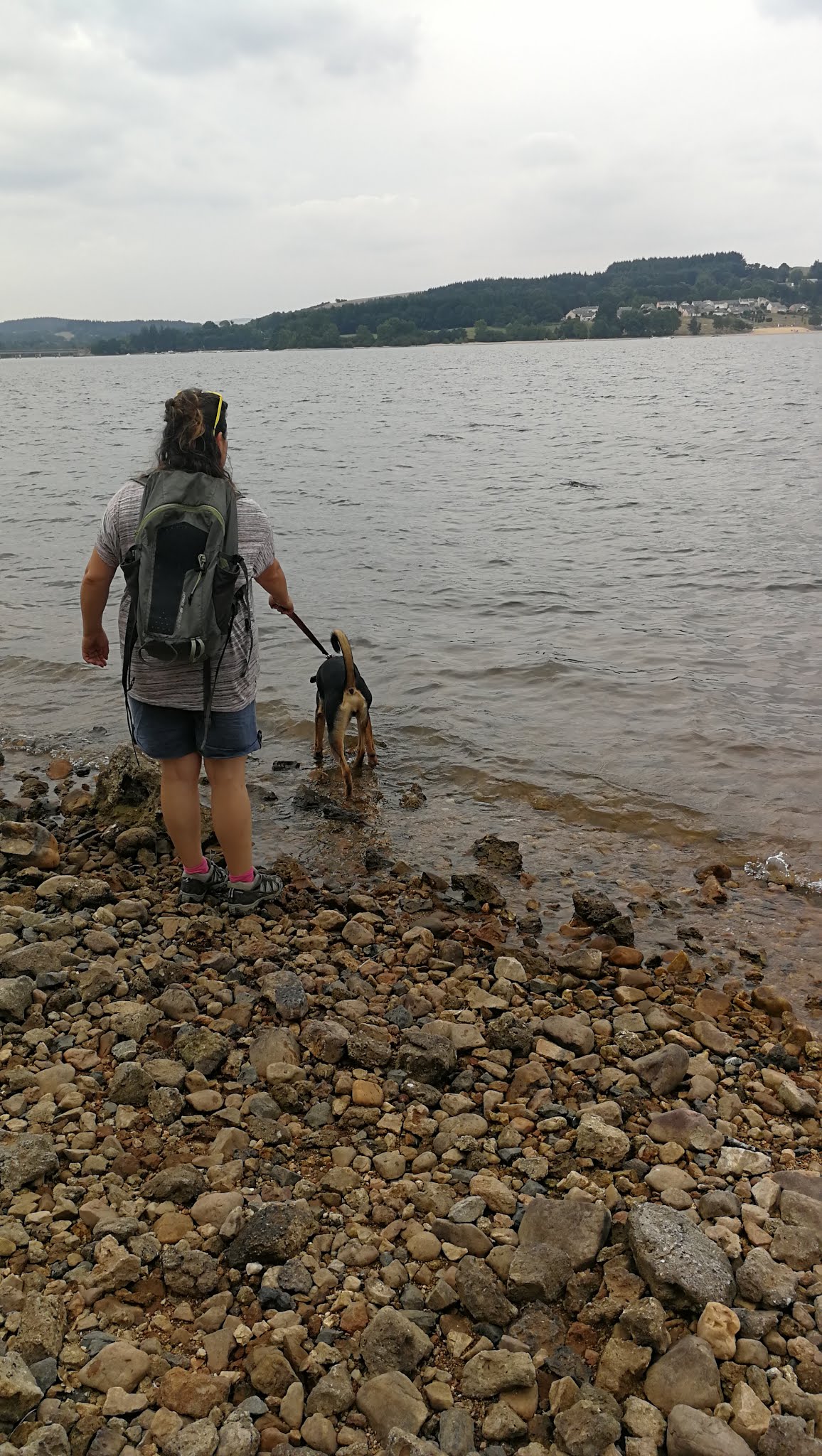 Photo n° 23 de l'avis de Janick.r fait le 12/12/2019 à 12:57