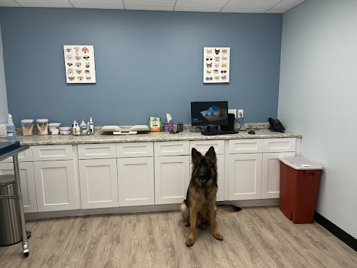 Wellington Circle Veterinary Center image
