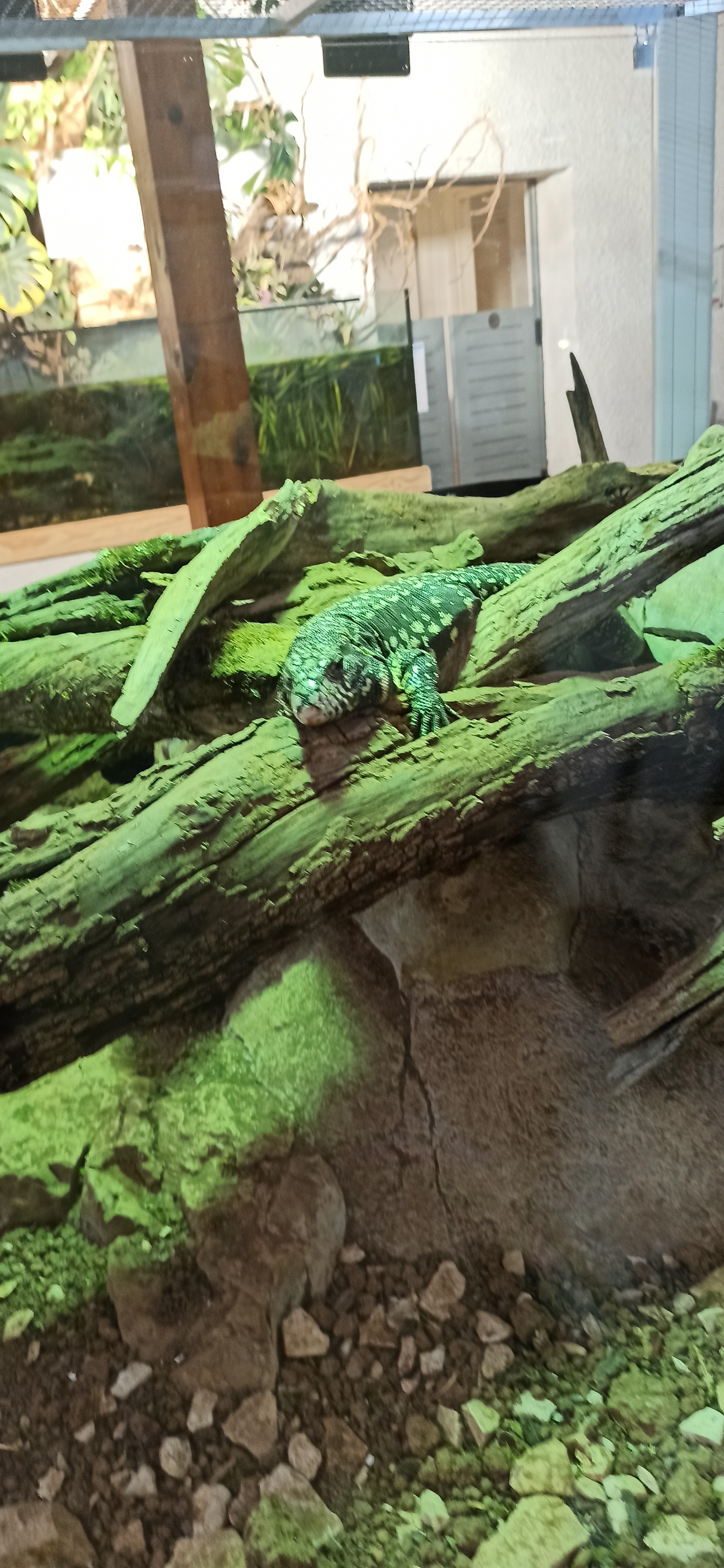 Photo n° 2 de l'avis de Amand.8 fait le 20/07/2023 à 13:02