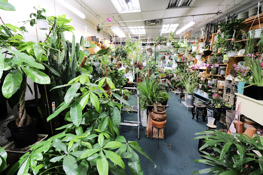 Florist «Flushing Garden Florist», reviews and photos, 147-20 Northern Blvd, Flushing, NY 11354, USA