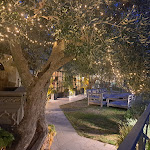 Photo n°25 de l'avis de provveditore.0 fait le 09/12/2023 à 18:25 sur le  Villa Le Fontanelle à Florence