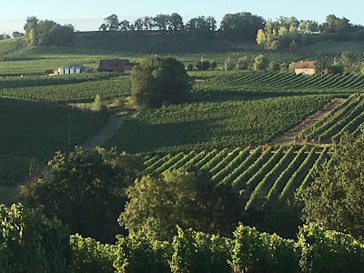 Domaine de Pécoula à Pomport