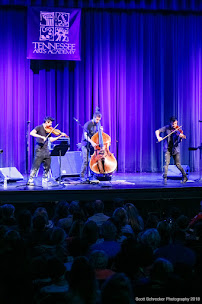 Tennessee Arts Academy - Photo 7 - Car repair in Nashville, TN, Nashville