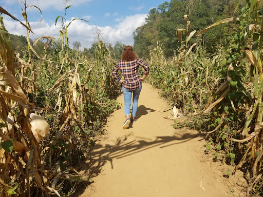 Tourist Attraction «Still Family Farm, LLC», reviews and photos, 5630 Macland Rd, Powder Springs, GA 30127, USA