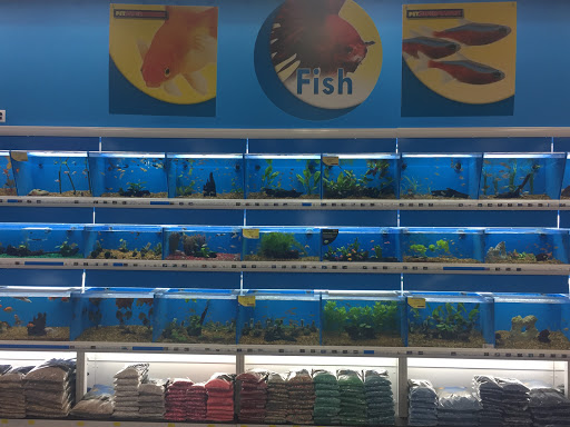 Pet Supply Store «Pet Supermarket», reviews and photos, 4100 N Wickham Rd #117, Melbourne, FL 32935, USA