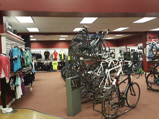 Bicycle Store «Pedal Power», reviews and photos, 520 Hartford Turnpike, Vernon, CT 06457, USA
