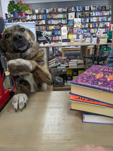 Book Store «Read It Again», reviews and photos, 3630 Peachtree Pkwy # 314, Suwanee, GA 30024, USA