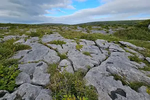 Heart of Burren Walks image