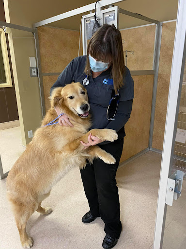 Morinville Veterinary Clinic image