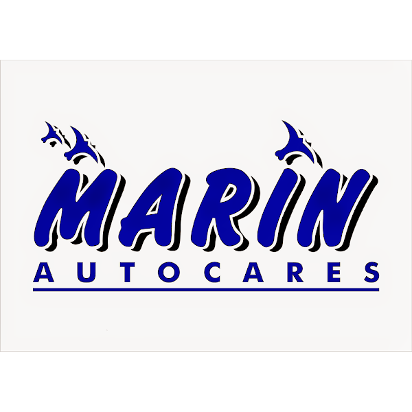 Imagen de Autocares Marín Cordoba (10 de 10)