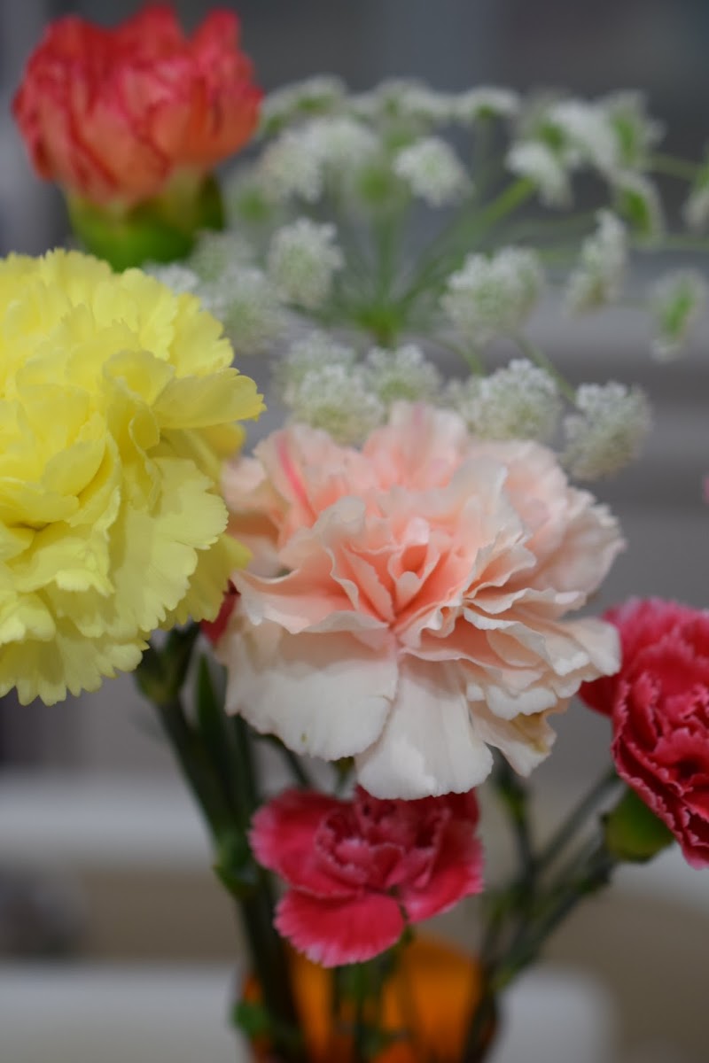 花問屋 渡なべ 埼玉県所沢市中新井 花屋 花 グルコミ