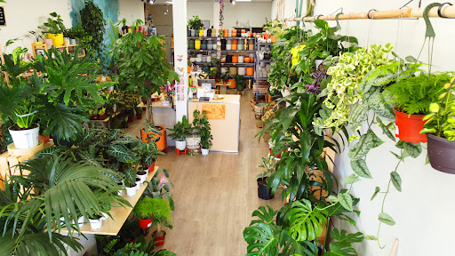 PlanterSam image