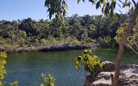 Dagny Johnson Key Largo Hammock Botanical State Park image