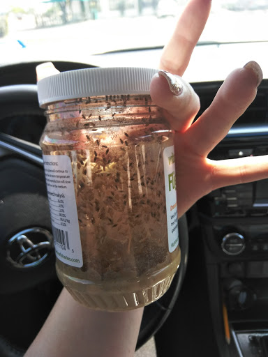 Pet Supply Store «Petco Animal Supplies», reviews and photos, 1500 N Town E Blvd, Mesquite, TX 75150, USA