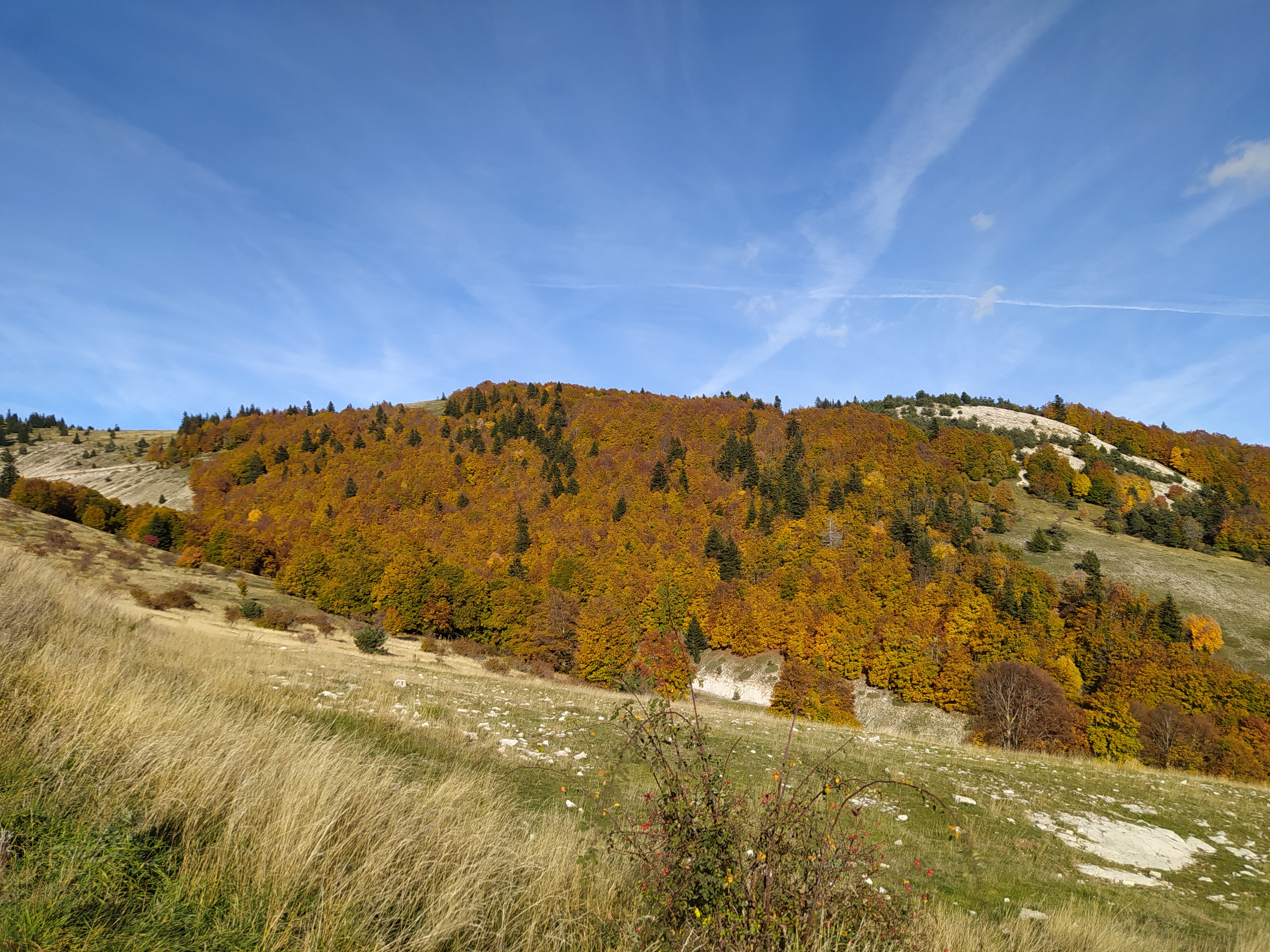 Photo n° 1 de l'avis de Jeanpaul.o fait le 27/10/2022 à 20:59